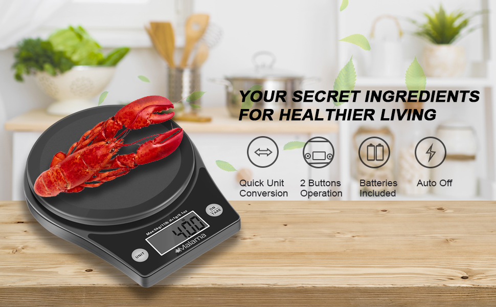 Digital Kitchen Scale For Weighing Food, With Unit Conversions In